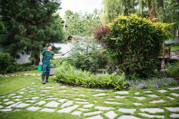 Best Pest Control Near Me  in South Farmingdale, NY